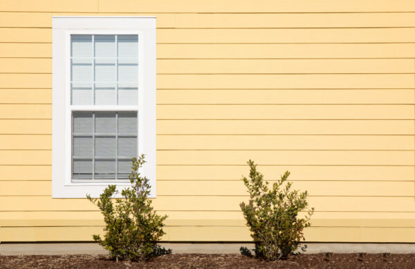 house with yellow siding and one window