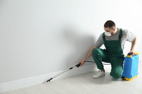 Pest control worker in uniform spraying pesticide indoors