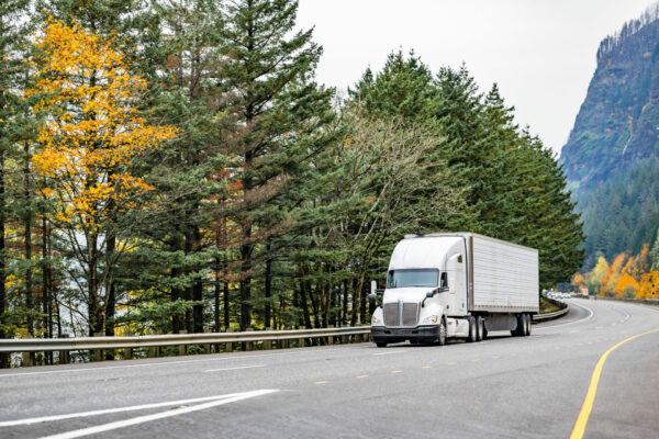 white semi truck carrying cargo